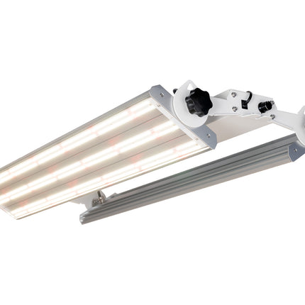 Phantom PHENO 440 LED - 440W - 100-277V - MP Spectrum