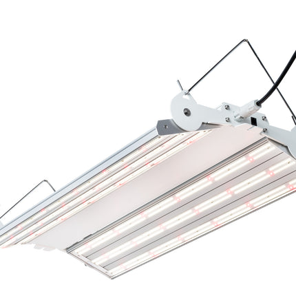 Phantom PHENO 440 LED - 440W - 100-277V - MP Spectrum