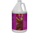 Soul Peak - 1 GAL