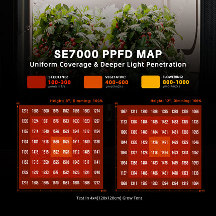 Spider Farmer SE7000 PPFD map