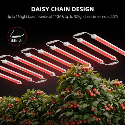 Spider Farmer GlowR40 daisy chain