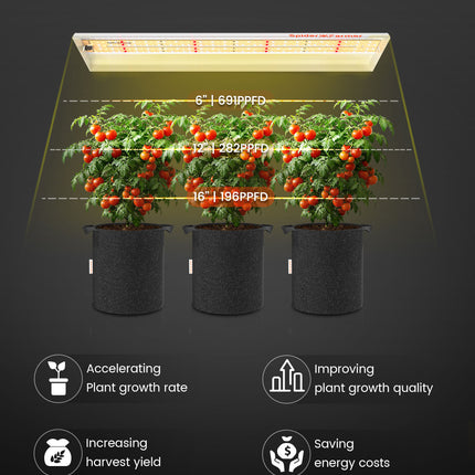 Spider Farmer SF300 PAR values