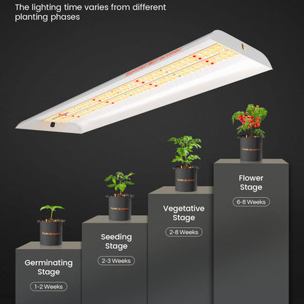 Spider Farmer SF300 growing tips