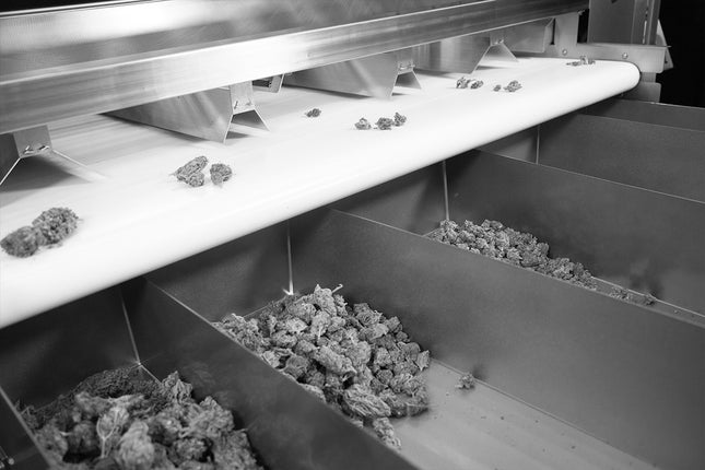 Sorter Table with Precision Sorter