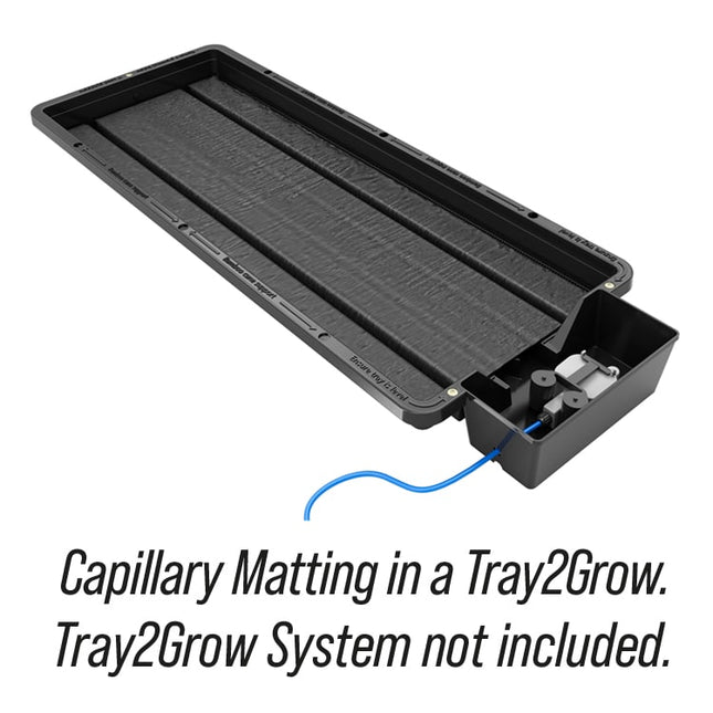 AutoPot Tray2Grow capillary mat in the tray