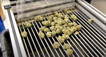EZ Trim "OG" Bud Sorter Mini
