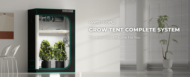 Mars Hydro TSL-2000 LED grow light