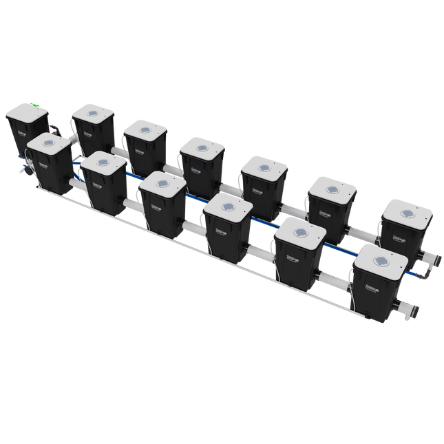 Current Culture UC12XL13 Under Current RDWC system, back view