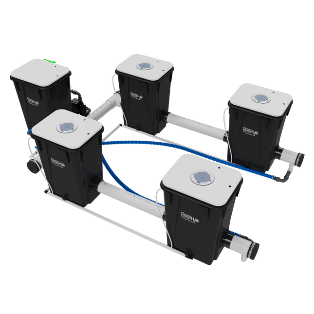 Current Culture UC4XXL13 Under Current RDWC system, back view