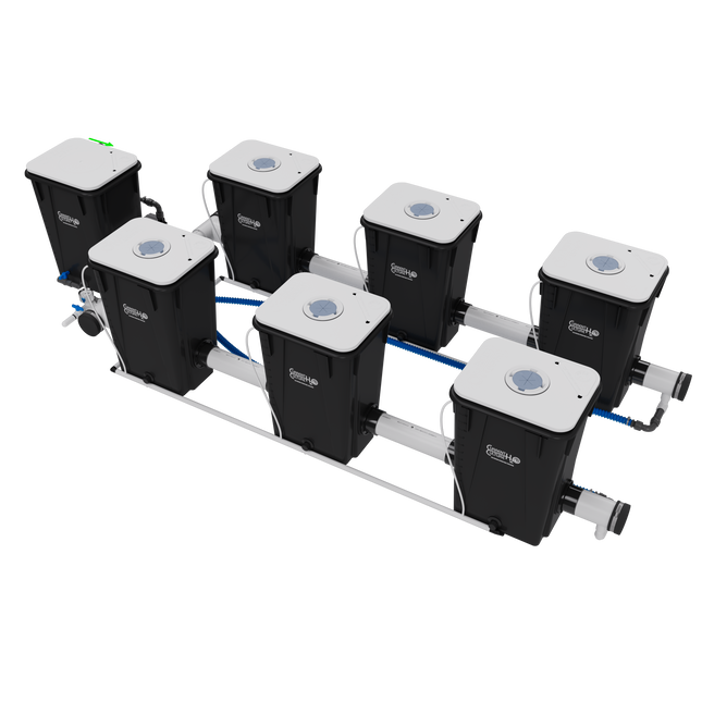 Current Culture UC6XL13 Under Current RDWC system, back view