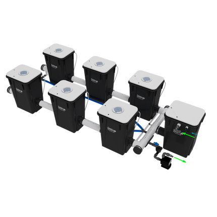 Current Culture UC6XL13 Under Current RDWC system, left side view
