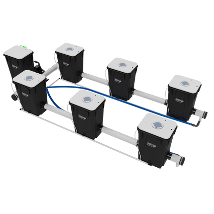 Current Culture UC6XXL13 Under Current RDWC system, back view