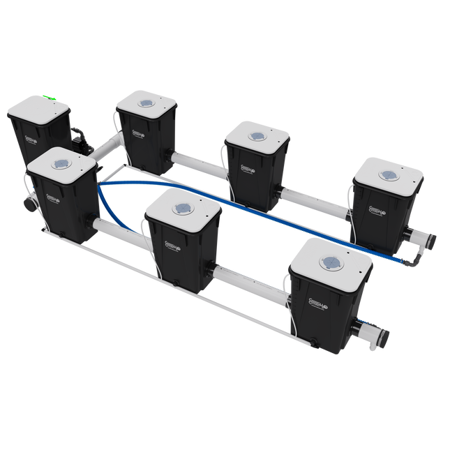 Current Culture UC6XXL13 Under Current RDWC system, back view