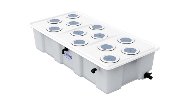 Current Culture UC Solo Comm 35-gallon DWC system, 12-site lid