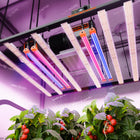 Spider Farmer UV30 and IR16 supplemental LED bar set