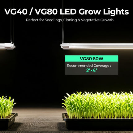 Mars Hydro VG series LED grow light bars