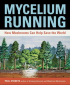 Mycelium Running
