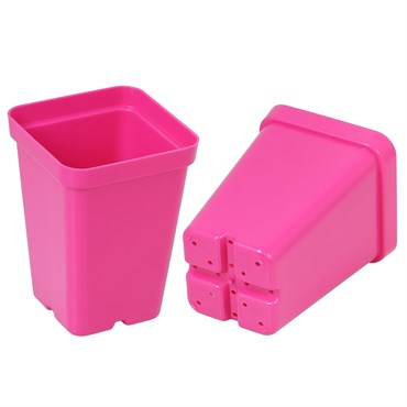 SUNPACK® Square Pot - 2.5in - Magenta