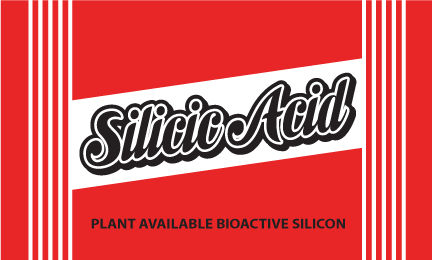 Elite 91 Silicic Acid - Plant Available Bioactive Silicon - 500 ML