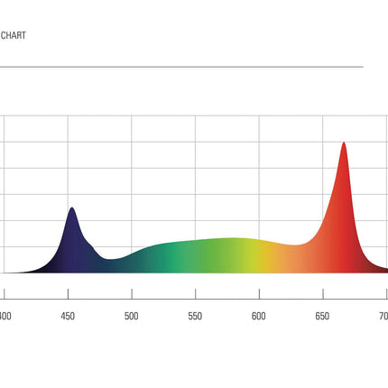 Fluence PhysioSpec Broad R45 spectrum chart
