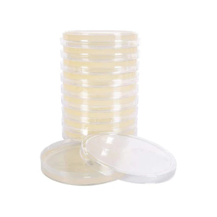 North Spore Pre-Poured Sterile Agar Plates - 10ct
