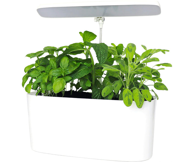SunBlaster Nano Growlight Garden, w/ LED Grow Light, Timer and Adapter