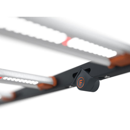 Fluence SPYDR Fang