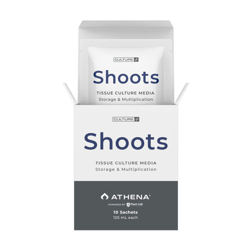 Athena Shoots Culture Media - FULL BOX (10) - 125ml Sachet