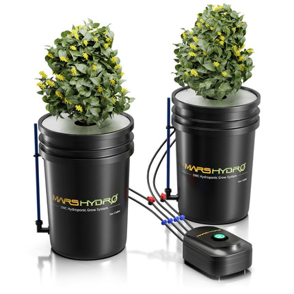 Mars Hydro 2-bucket 5-gallon DWC hydroponic system kit