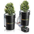 Mars Hydro 2-bucket 5-gallon DWC hydroponic system kit