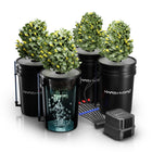 Mars Hydro 4-bucket 5-gallon DWC hydroponic system kit