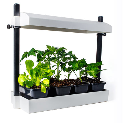 SunBlaster Micro LED Grow Light Garden - White