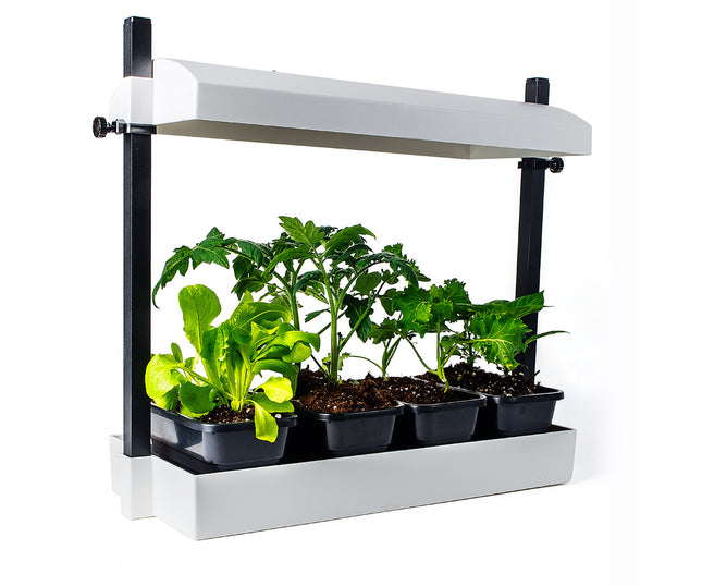 SunBlaster Micro LED Grow Light Garden - White