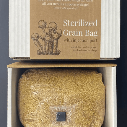 Build A Soil Growing Organic - Sterilized Grain Bag with injection port 3LB