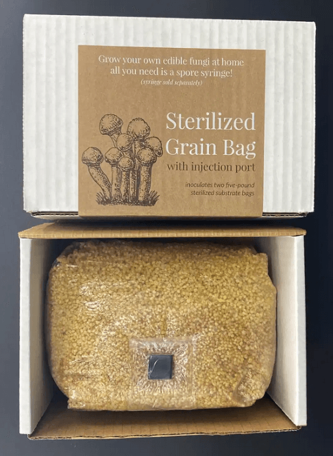 Build A Soil Growing Organic - Sterilized Grain Bag with injection port 3LB