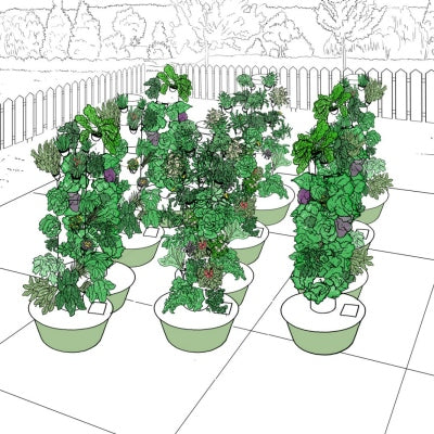 Tower Garden Community Garden