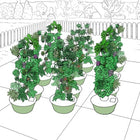Tower Garden Community Garden
