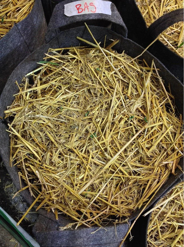 Build A Soil Certified Organic Straw Mulch - 2gal