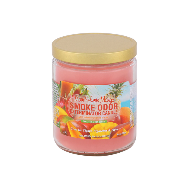 Smoke Odor Candle - Maui Wowie Mango