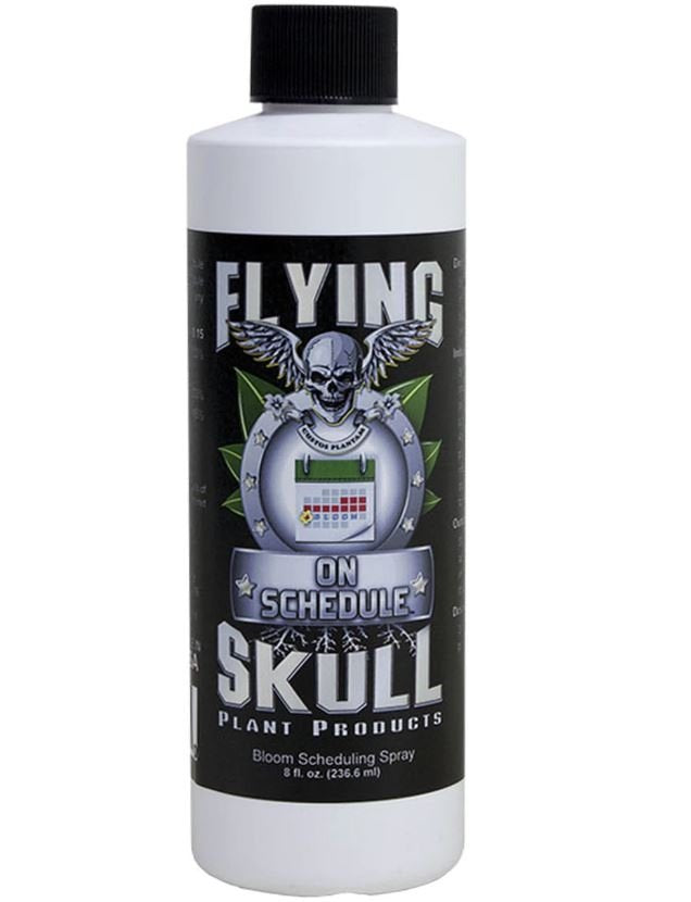 Flying Skull On Schedule - 4OZ