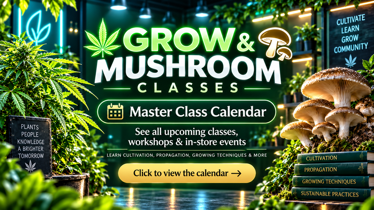 Grow and mushroom classes at Matt's Hydroponics — master class calendar, free classes and workshops