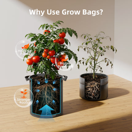 Spider Farmer fabric grow bag with handles