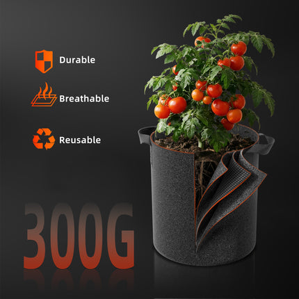 Spider Farmer fabric grow bags in use