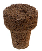 Current Culture iHort seedling plugs
