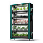 Mars Hydro 6-tier plant stand with 250W grow lights and tent