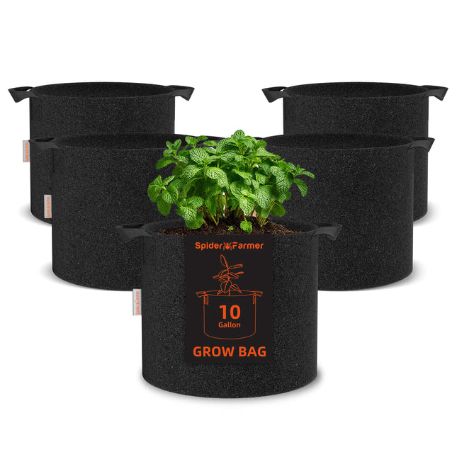 Spider Farmer 10-gallon fabric grow bag