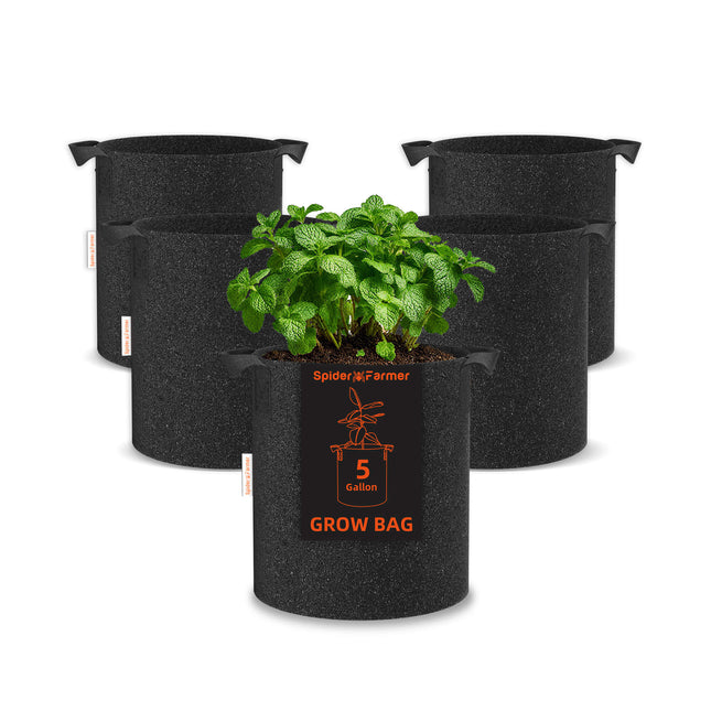 Spider Farmer 5-gallon fabric grow bag