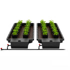 AutoPot Tray2Grow 4x4 tent bundle