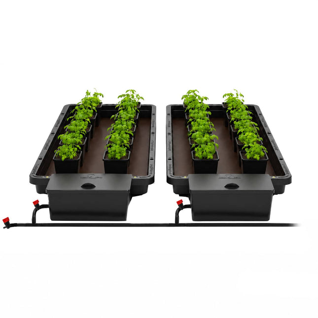 AutoPot Tray2Grow 4x4 tent bundle