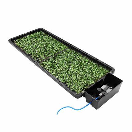 AutoPot Tray2Grow with microgreen trays